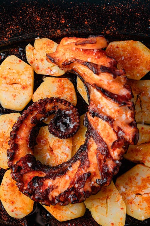 Pulpo a la parrilla con especias, plato estrella del Restaurante Catedral